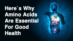 DoctorHub360.com Amino Acids: A Comprehensive Guide